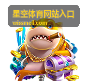 欧洲杯决赛经典回顾 星空体育