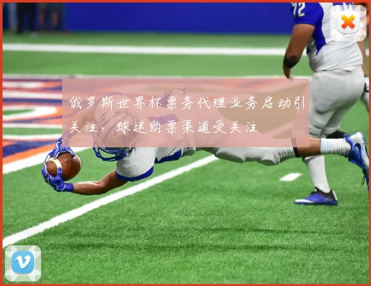 俄罗斯世界杯票务代理业务启动引关注,球迷购票渠道受关注