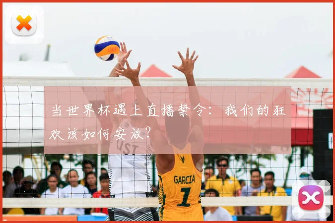 当世界杯遇上直播禁令:我们的狂欢该如何安放?