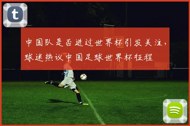 中国队是否进过世界杯引发关注，球迷热议中国足球世界杯征程